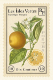 French Stamp II
