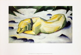 The White Dog