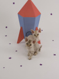 Devon Rex