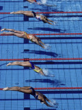 Female Swimmers at the Start of a Race