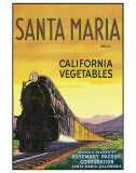 Santa Maria Brand California Vegetables