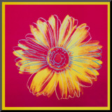 Daisy  c1982 (Fuschia and Yellow)