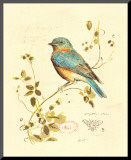 Gilded Songbird IV