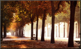 Champs-Elysees