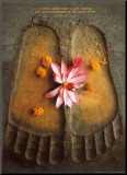 Thich Nath Hanh  I Have Arrived