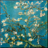 Almond Branches in Bloom  San Remy  c1890