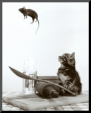 Cat and Mouse