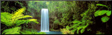 Millaa Millaa Falls  Queensland  Australia