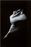 Grace in Motion
