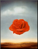 Rose Meditative  c1958