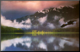 Leadership: Eagle