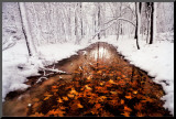 Autumn Passage