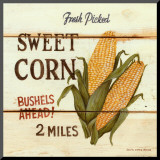 Fresh Picked Sweet Corn