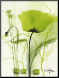 Coquelicot Vert II