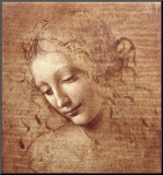 Female Head (La Scapigliata)  c1508