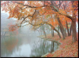 Autumn Reflections