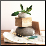 Pile with Olive Tree Branch