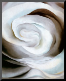 Abstraction White Rose  1927