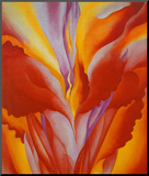 Red Canna