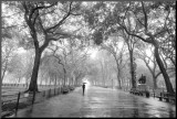 Poet's Walk  Central Park  New York City