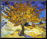 Mulberry Tree  c1889