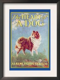 The Heart of a Dog