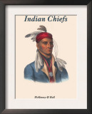 Indian Chiefs