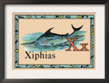 Xiphias