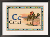Camel