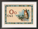 Owl