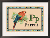 Parrot