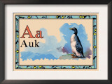 Auk