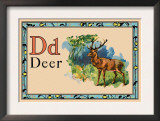 Deer