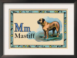 Mastiff