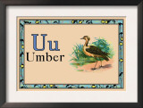 Umber