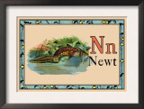 Newt
