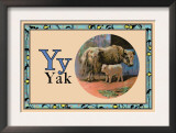 Yak