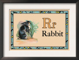 Rabbit