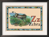 Zebra
