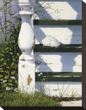 Old House by the Sea