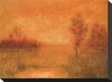 Autumn Field