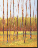 Tall Trees I (left)