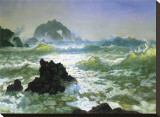 Seal Rock