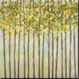 Different Shades of Green