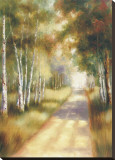 Peaceful Passage