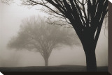 Memories of Winter