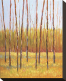 Tall Trees II (right)