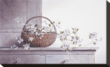 Spring Blossoms