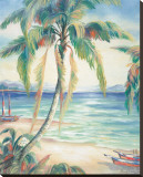Tropical Breeze II