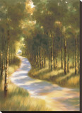 Along the Way